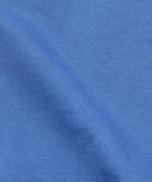 tシャツ Coleman/コールマン 別注 Trekking Goods バックプリント スピンドルTシャツ メンズ | Coleman | 21