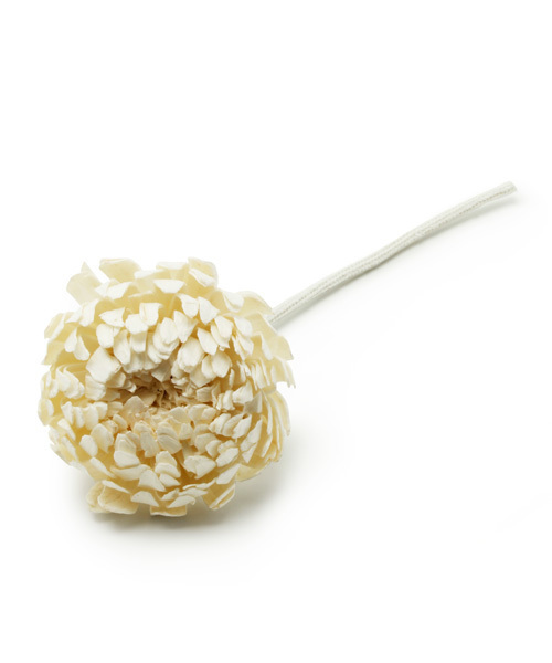 79円 超特価 ルームフレグランス FIGMENT SOLA FLOWER-CHRYSANTHEMUM フィグメント ソラ フラワー-クリサンセマム 79円 人気の製品 79円 超特価 ルームフレグランス FIGMENT SOLA FLOWER-CHRYSANTHEMUM フィグメント ソラ フラワー-クリサンセマム