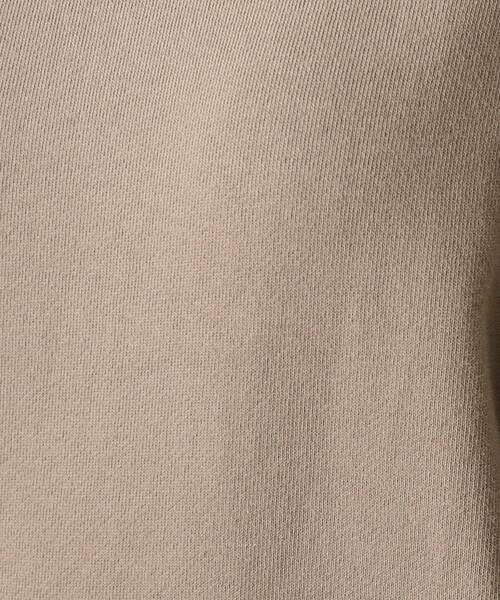 DRESSTERIOR トレーナー スウェット ソフトバックフリースプル