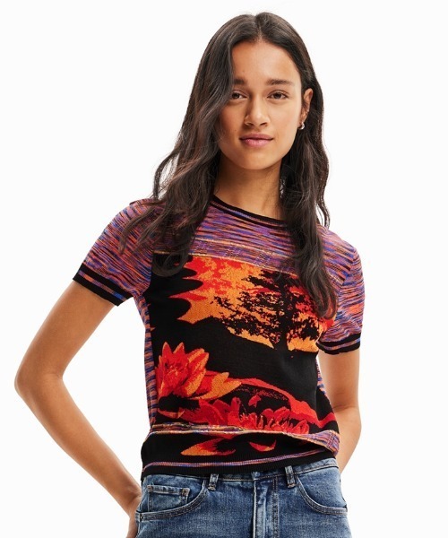 デシグアル Desigual 風景モチーフ ニットTシャツ （マルチ） Desigual デシグアル 風景 ニットTシャツ （イエロー