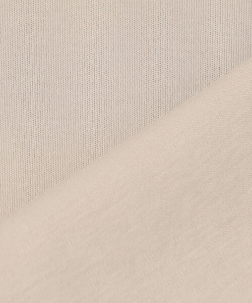 tシャツ 「洗える/汗じみ防止加工」エンブロイダリージャージー フレンチスリーブ カットソー レディースの画像
