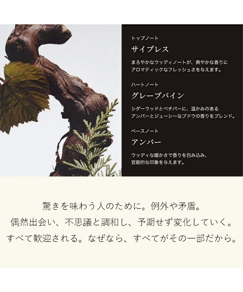 JO MALONE LONDON（ジョーマローンロンドン） 香水 ジョー マローン