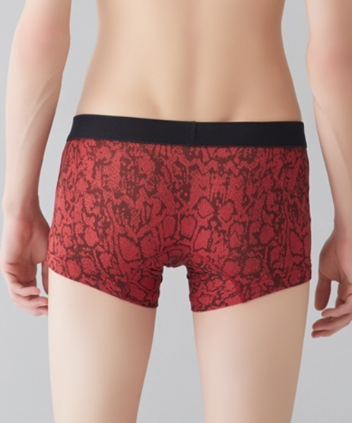 春夏新作 WILD BODY ボクサーパンツ ローライズ WILD/ボディワイルド 下着・アンダーウェア