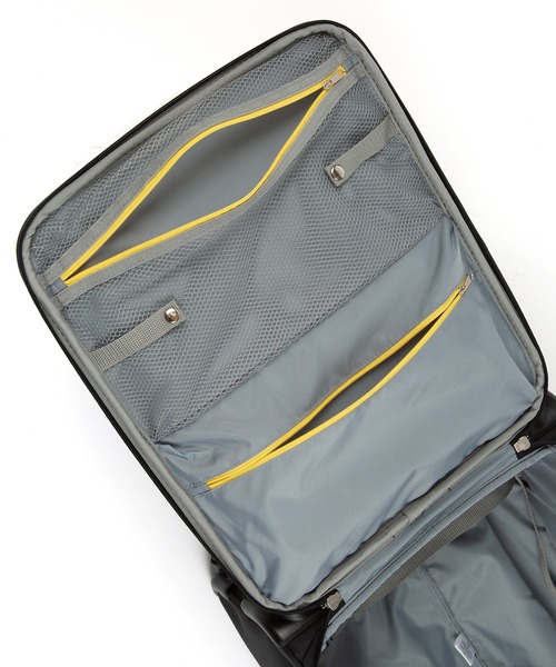 ACE エース テセウス キャリーバッグ 31L 2〜3泊用 機内持ち込み可 Ace（エース） スーツケース テセウス キャリーケース 機内持込サイズ