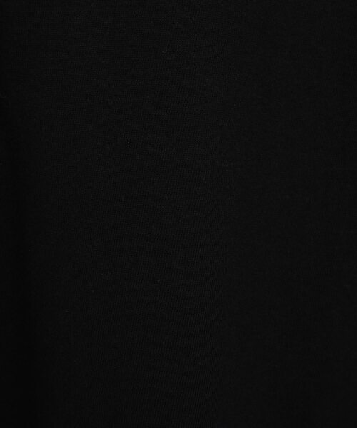 tシャツ OVAL LOGO BACK PRINT TEE レディースの画像