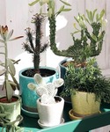 花瓶 COLOR GLAZED POT/4号 植木鉢の詳細画像5