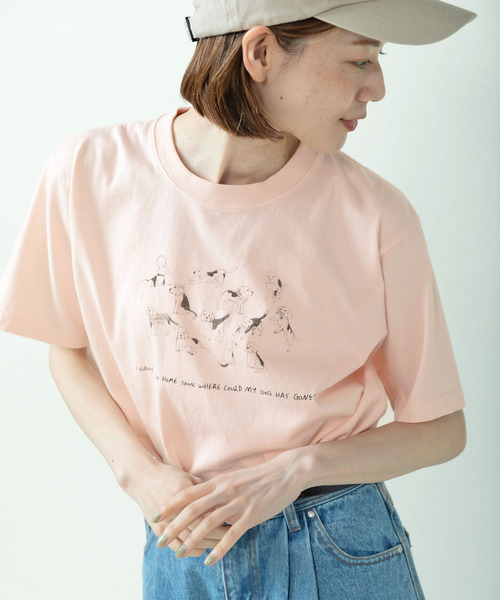 tシャツ 「WEB限定」A lot of beagles T-shirt レディースの画像