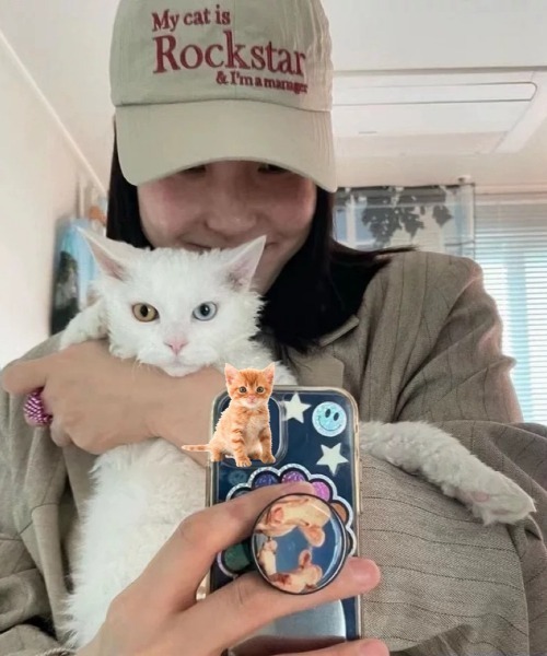 DIAVEL キャップ 帽子 レディース 「8色展開」 My Cat is Rockstar撥水