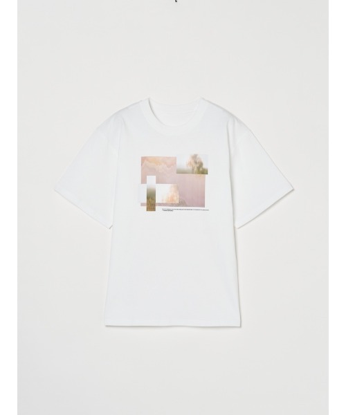 sahara（サハラ） tシャツ Graphic Tee/グラフィックティーシャツ