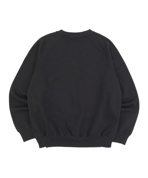 「THE NORTH FACE」 スウェットカットソー X-LARGE ホワイト メンズの画像
