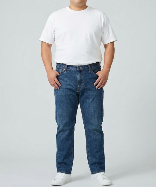 ジーンズ 「大きいサイズ」503 レギュラーストレートデニムパンツ SMART STANDARD REGULAR STRAIGHT メンズ | EDWIN | 24