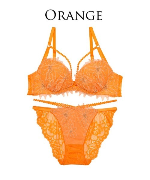 Reinest（レイネスト） ブラジャー ショーツセット シアーアティロン