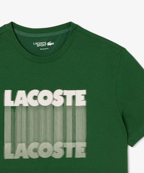 LACOSTE（ラコステ） tシャツ グラフィカルブランドネームロゴウルトラ