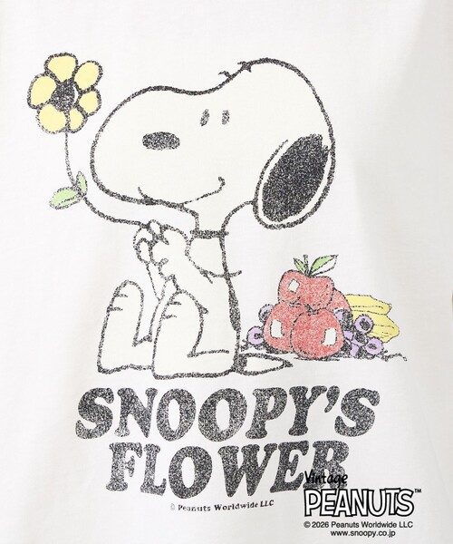 FRUIT OF THE LOOM（フルーツオブザルーム） tシャツ 「FRUIT OF THE 