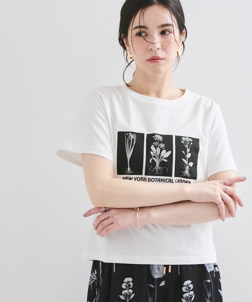 tシャツ 「NYBG」ステムスアート Tシャツ レディース