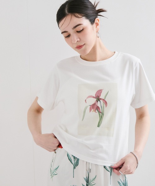 tシャツ 「NYBG」フラワースケッチTシャツ レディース