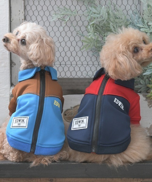 EDWIN（エドウィン） 犬 服 EDWIN/切替バイカラージャケット