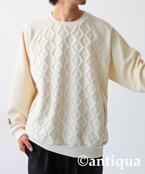 antiqua（アンティカ） antiqua tシャツ 「STCH」エンボスジャガード