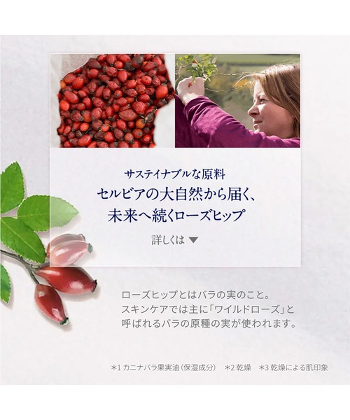 美容液 オイル クリーム ニールズヤードレメディーズ neal's yard remedies ワイルドローズ ビューティバーム 15g（箱あり） | NEAL'S YARD REMEDIES | 05