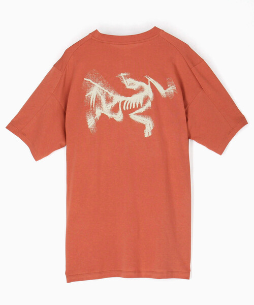 ARC'TERYX（アークテリクス） tシャツ Kragg SL Cotton Blurred Bird