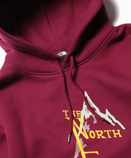 THE NORTH FACE パーカー 日本未発売 FACE/ザ・ノースフェイス M