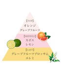 香水 フェルナンダ fernanda レディー...の詳細画像1