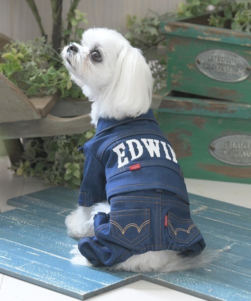 激レア✨️アトリエgg ヴィンテージ デニム シャツ ジャケット 犬服 ０〜１ EDWIN（エドウィン） 犬 服 EDWIN/デニムライクセットアップ