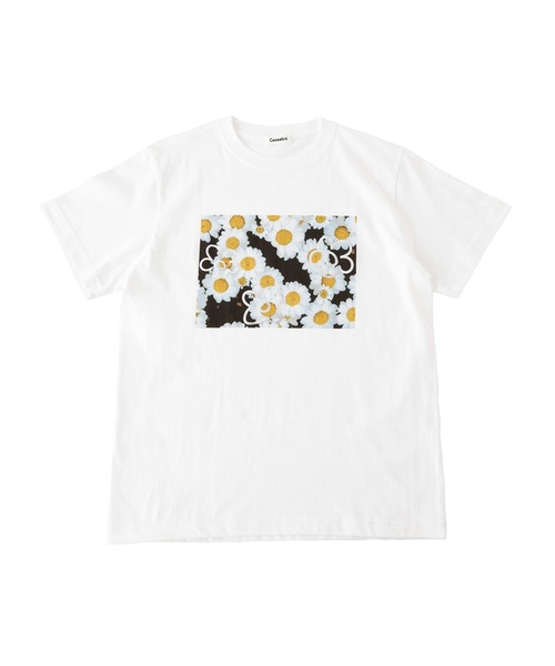 「Casselini」 半袖Tシャツ M ブラック レディース_画像2