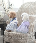 犬 服 ANNA SUI/チャイナディテールワ...の詳細画像1
