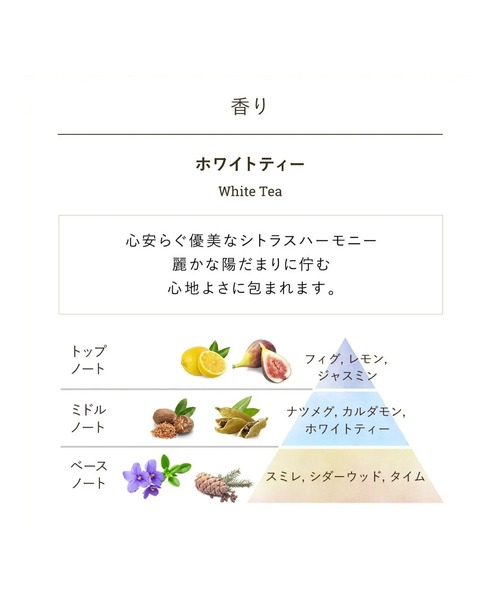SABON（サボン） ボディスクラブ ボディスクラブ 320g : ZOZOTOWN