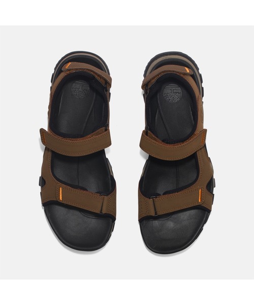 「Timberland」 サンダル 25.0cm ダークブラウン メンズ_画像2