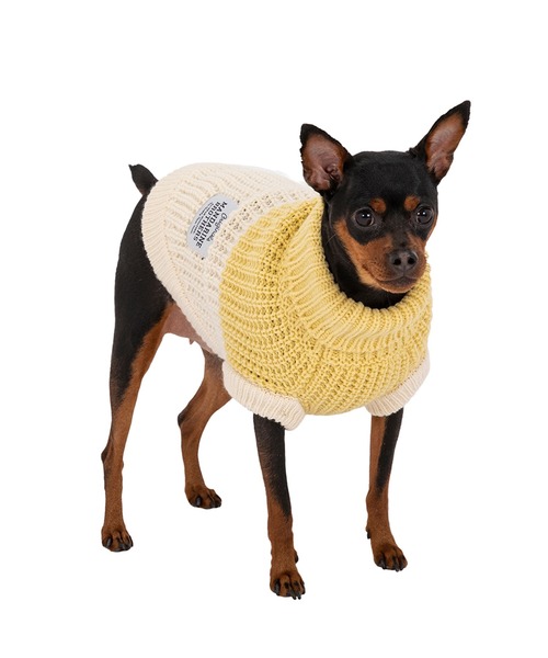 ⭐︎いぬ⭐︎ Amazon.co.jp: 東京堂(Tokyodo) 犬張子ミニ W3.5×D6.5×H6cm