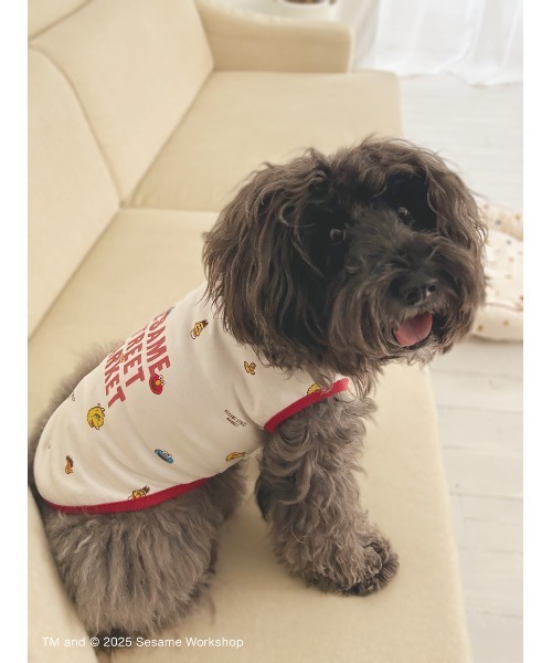 ドッグデプト 犬服の商品一覧 通販 - Yahoo!ショッピング