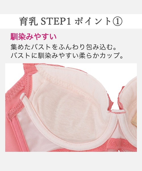 BRADELIS NewYork（ブラデリスニューヨーク） ブラジャー ウェンディ