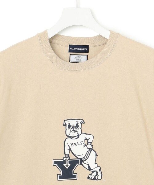 J.PRESS YORK STREET tシャツ 「UNISEX」YALE × コラボTシャツ メンズ