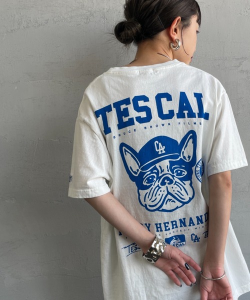 tシャツ 「THE ENDLESS SUMMER/エンドレスサマー」 別注 BUHI LEAGUE バックプリントTシャツ レディース メンズ
