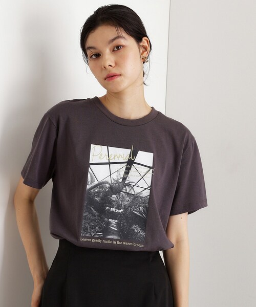 THE SHOP TK tシャツ 半袖 カレッジ＆フォトプリントTシャツ「洗濯機OK