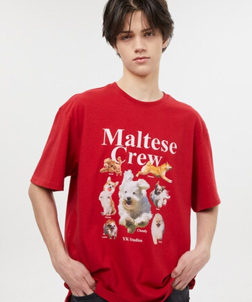 ★韓国の人気★【WAI KEI】★Maltese crew sweatshirt.s★ Maltese Crew Sweatshirt - WaiKei | 60% - Asian Fashion