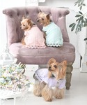 犬 服 ROPE PICNIC/レースワンピースの詳細画像1