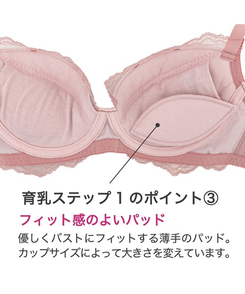 BRADELIS NewYork ブラジャー ジャスミンステップ1ブラ23S1