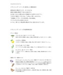 化粧水 スリー THREE バランシングステム...の詳細画像3
