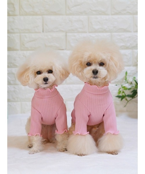 TONE（トネ） 犬 服 「poteco」フリルリブプルオーバー(ハイネック