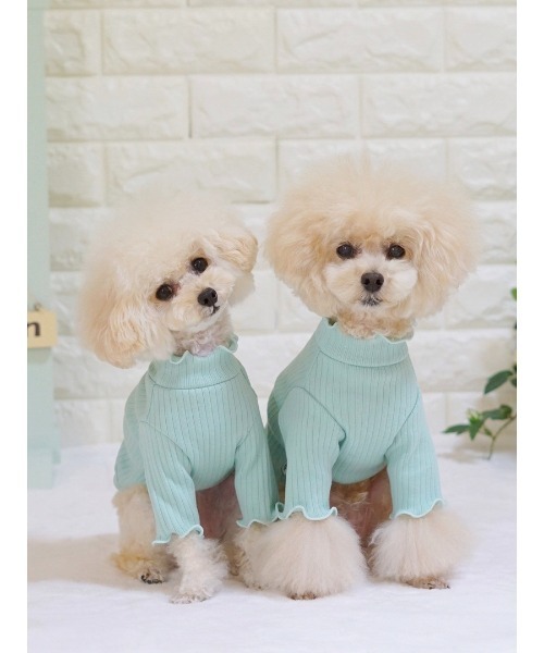 TONE（トネ） 犬 服 「poteco」フリルリブプルオーバー(ハイネック