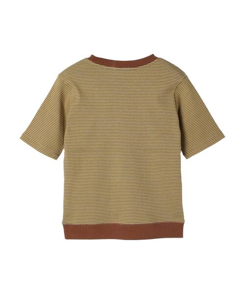 tシャツ ハーフミラノボーダープルオーバー レディース AMERICAN HOLIC tシャツ ミジンボーダーカットプルオーバー