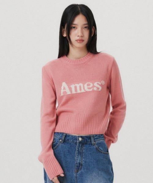 ニット セーター A'GEM/9 × .kom 「AMESWORLDWIDE/アメスワールドワイド」 BASIC PULLOVER KNIT/ベーシッ AMESーWORLDWIDE ニット セーター A'GEM/9 × .kom