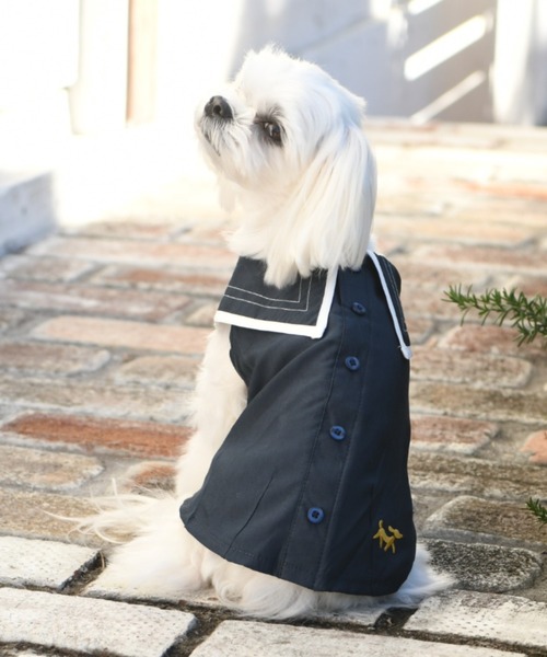 【りん】ハロッズ　ブラック　セレモニー　上品　Lサイズ りん】ハロッズ ブラック セレモニー 上品 Lサイズ 楽天市場