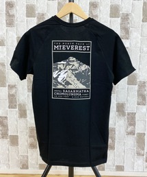 THE NORTH FACE☆スモール バック プリント ロゴ Tシャツ THE NORTH FACE tシャツ バックプリントグラフィッククルー