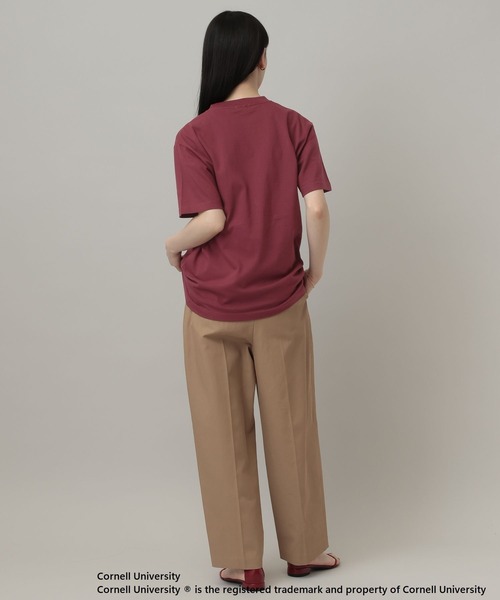 tシャツ College_Tシャツ レディースの画像