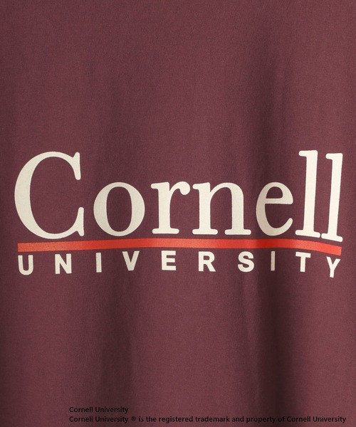 tシャツ College_Tシャツ レディースの画像