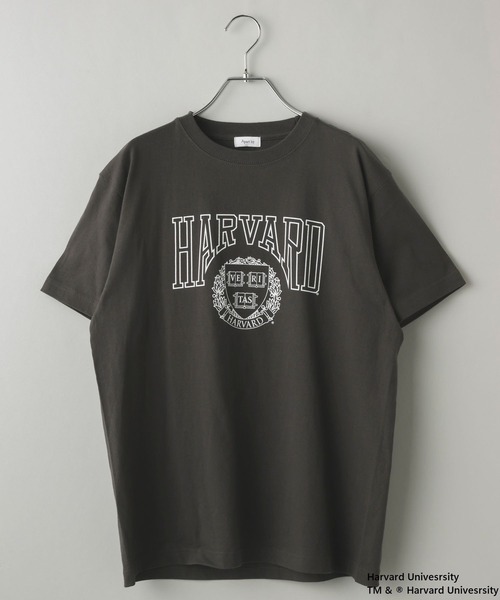 tシャツ College_Tシャツ レディースの画像